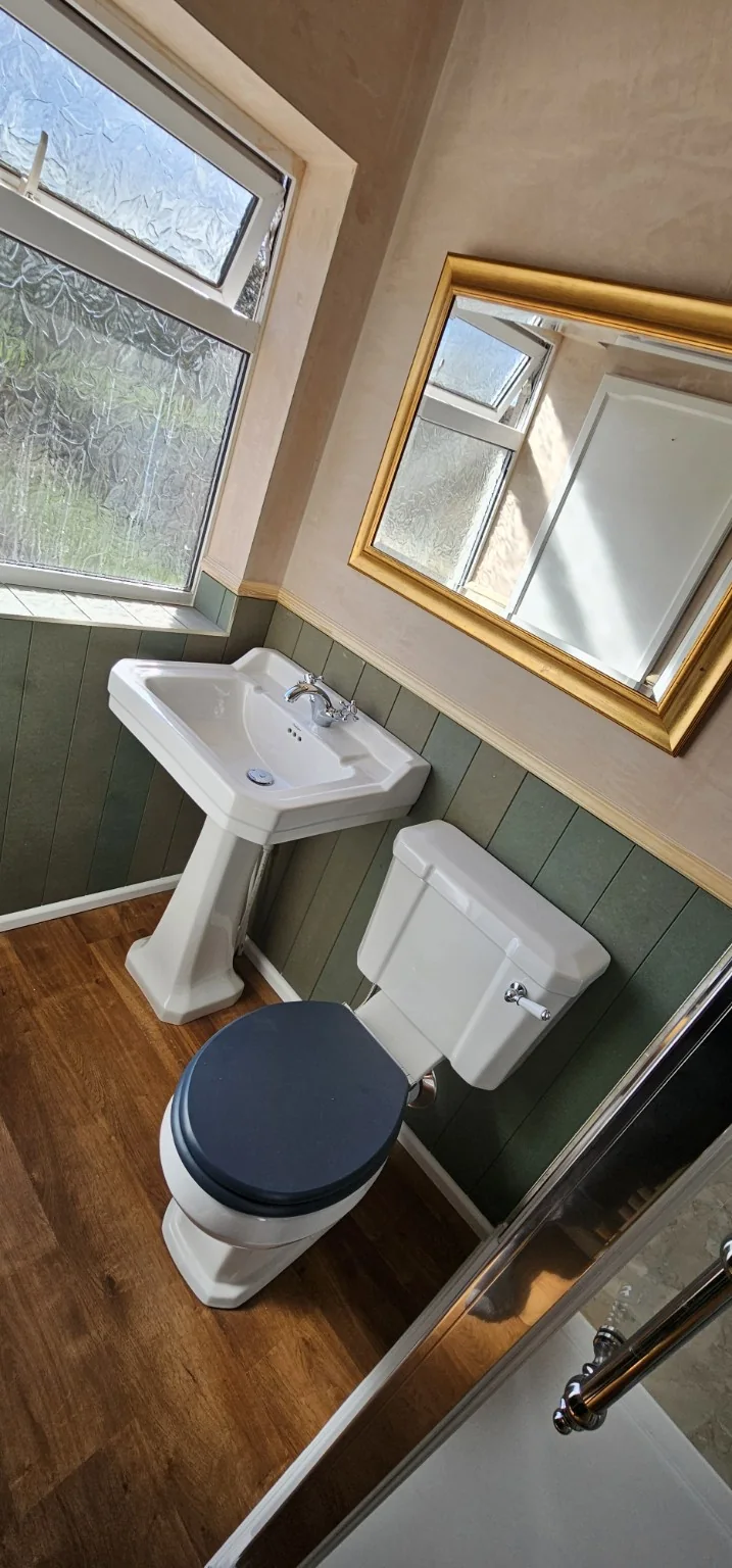 Classic green shower room with toilet, basin and window